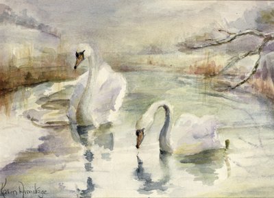 Kışın Kuğular by Karen Armitage