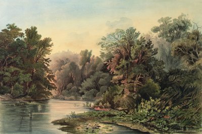  by Karl (after) Bodmer