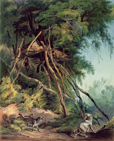 by Karl (after) Bodmer