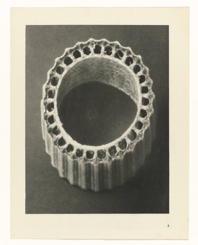 Bitki Çalışmaları Sanatın arketipleri: bitkilerin fotoğrafik görüntüleri (seri başlığı) by Karl Blossfeldt