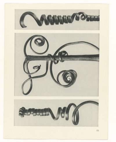 plan çalışması Sanat Arketipleri (dizi başlığı) by Karl Blossfeldt