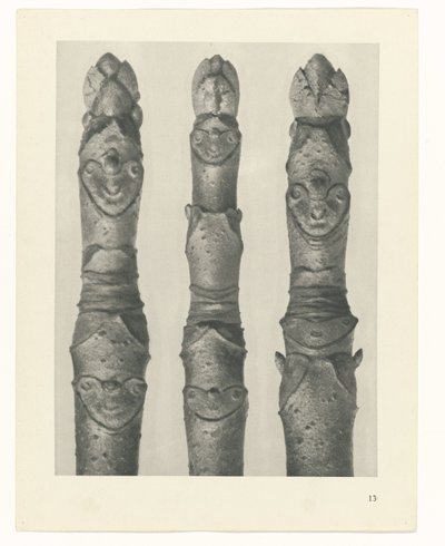 plan çalışması Sanat Arketipleri (dizi başlığı) by Karl Blossfeldt