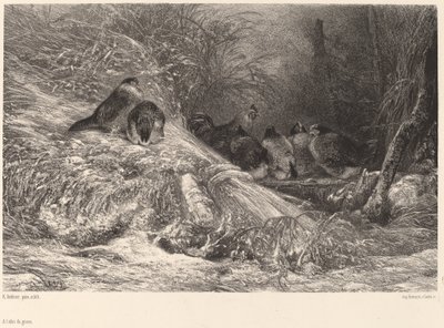 Dondan korunmak by Karl Bodmer
