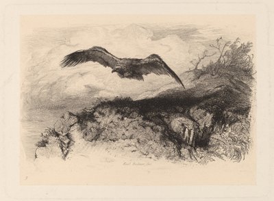 uçan Kartal by Karl Bodmer