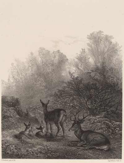 geyik dinlenme by Karl Bodmer