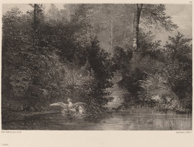 Ördekler, 18611866. by Karl Bodmer