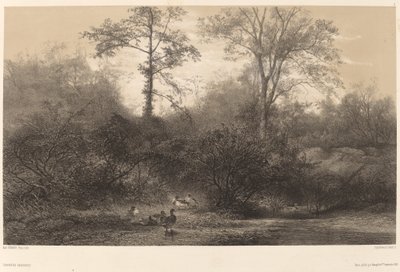 yaban ördekleri by Karl Bodmer