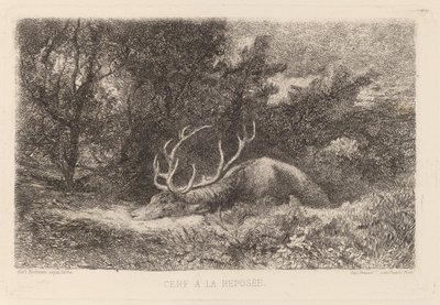Geyik a la Repose by Karl Bodmer