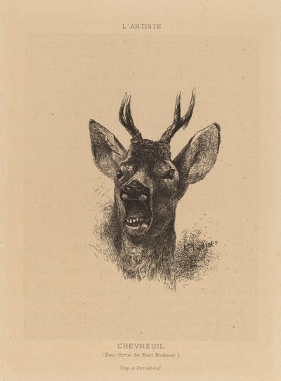 Geyik. by Karl Bodmer