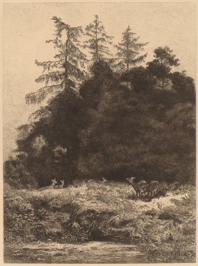 Bir Parkta Alageyik. by Karl Bodmer
