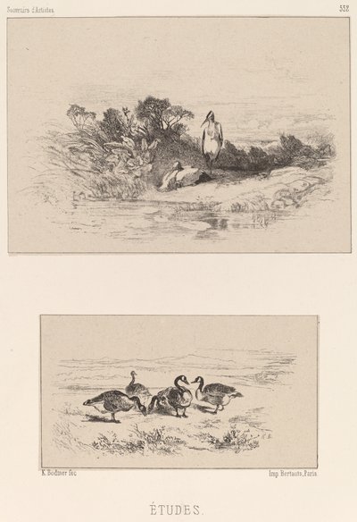 Çalışmalar by Karl Bodmer