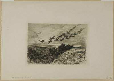 uçan kazlar by Karl Bodmer