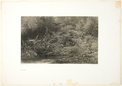 Sinsi sinsi tilki by Karl Bodmer