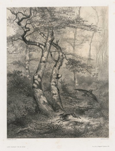 Bir çakır kuşu tarafından kovalanan tavşan by Karl Bodmer