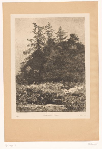 Bir ormanın kenarında geyik Daims dans un parc (nesne üzerindeki başlık) by Karl Bodmer