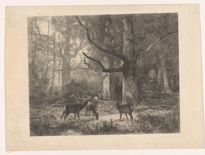 Bir ormandaki geyik by Karl Bodmer