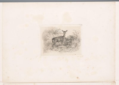 ormanda Hindu Hayvanlarla manzaralar (dizi başlığı) by Karl Bodmer
