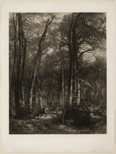 Ormanda by Karl Bodmer