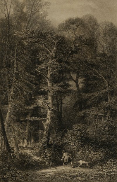  by Karl Bodmer