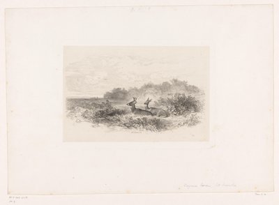 İki beyaz kuyruklu geyik ile manzara Hayvanlarla manzaralar (dizi başlığı) by Karl Bodmer