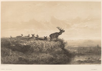 Sabah. by Karl Bodmer