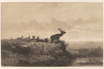 Sabah. Geyik ve Hindiler. by Karl Bodmer