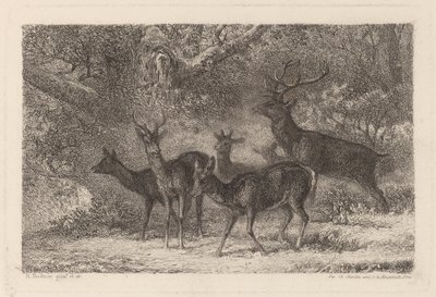 Sürü by Karl Bodmer