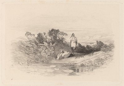 İki Balıkçıl by Karl Bodmer