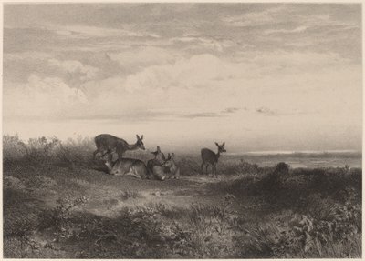 Hintliler. by Karl Bodmer
