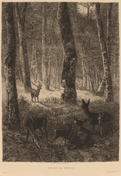 Eve dön. by Karl Bodmer