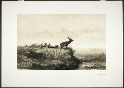  by Karl Bodmer