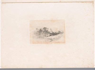 Rıhtımlar üzerinde iki balıkçıl Hayvanlarla manzaralar (dizi başlığı) by Karl Bodmer