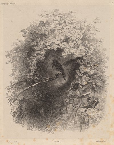 Açık Bir Barınak, 1858. by Karl Bodmer