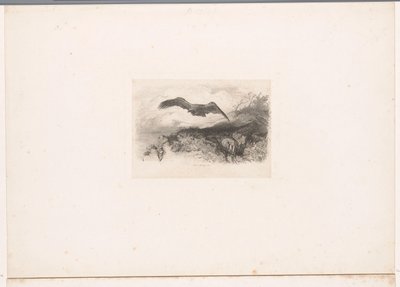 uçan Kartal Hayvanlarla manzaralar (dizi başlığı) by Karl Bodmer