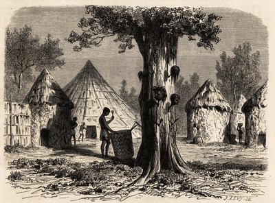 Savaş ağacı, Djour, Bahr-el-Gazal bölgesi, Sudan, Karl Girardet (1813-1871) tarafından 1856-1857