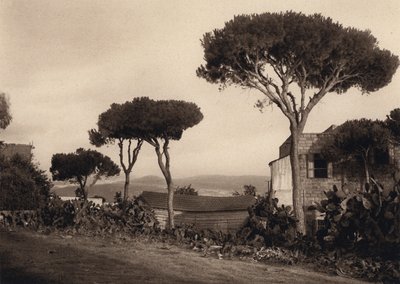 Lübnan, Manzara (s/b fotoğraf) by Karl Grober