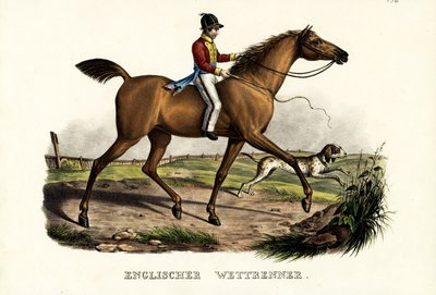 İngiliz Yarışçı Atı, 1824 by Karl Joseph Brodtmann
