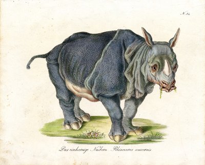  by Karl Joseph Brodtmann