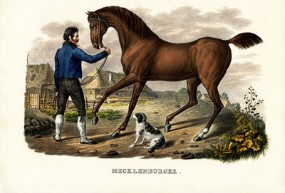 Mecklenburger Atı, 1824 by Karl Joseph Brodtmann