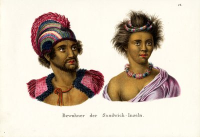 ಹವಾಯಿಯ ಜನರು, 1824 ಟರ್ಕಿ by Karl Joseph Brodtmann
