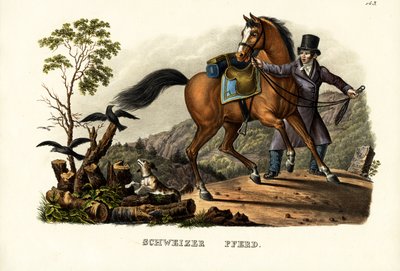 İsviçre Atı, 1824 by Karl Joseph Brodtmann