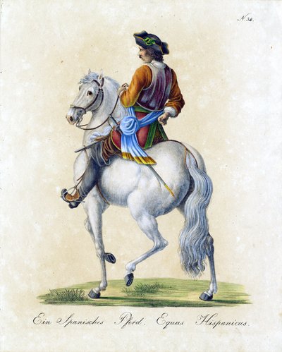  by Karl Joseph Brodtmann