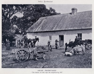 İrlanda Çiftliği (s/b fotoğraf) by Karl Karlovich Piratsky