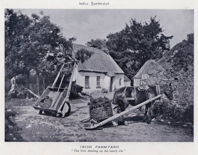 İrlanda Çiftliği (s/b fotoğraf) by Karl Karlovich Piratsky