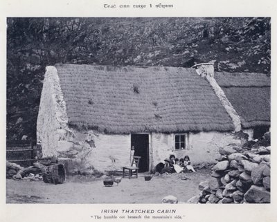 İrlandalı Thatched Kabin (s/b fotoğraf) by Karl Karlovich Piratsky