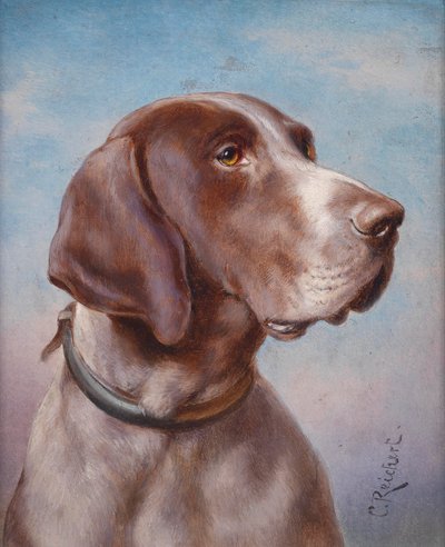 Köpek portresi by Karl Reichert