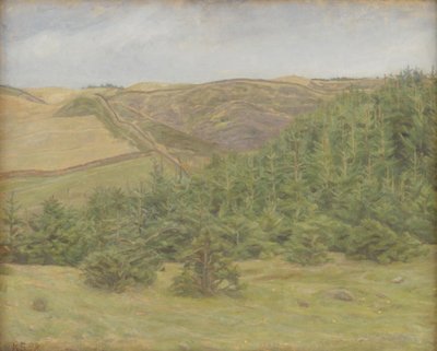 Svanninge Tepeleri, Funen by Karl Schou