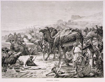 Kırkma Develeri by Karl Wilhelm Gentz