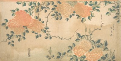 güller ca. 1810. by Kashosai Shunsen