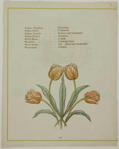 Çiçeklerin Aydınlatılmış Dilinden Dekoratif İllüstrasyon by Kate Greenaway